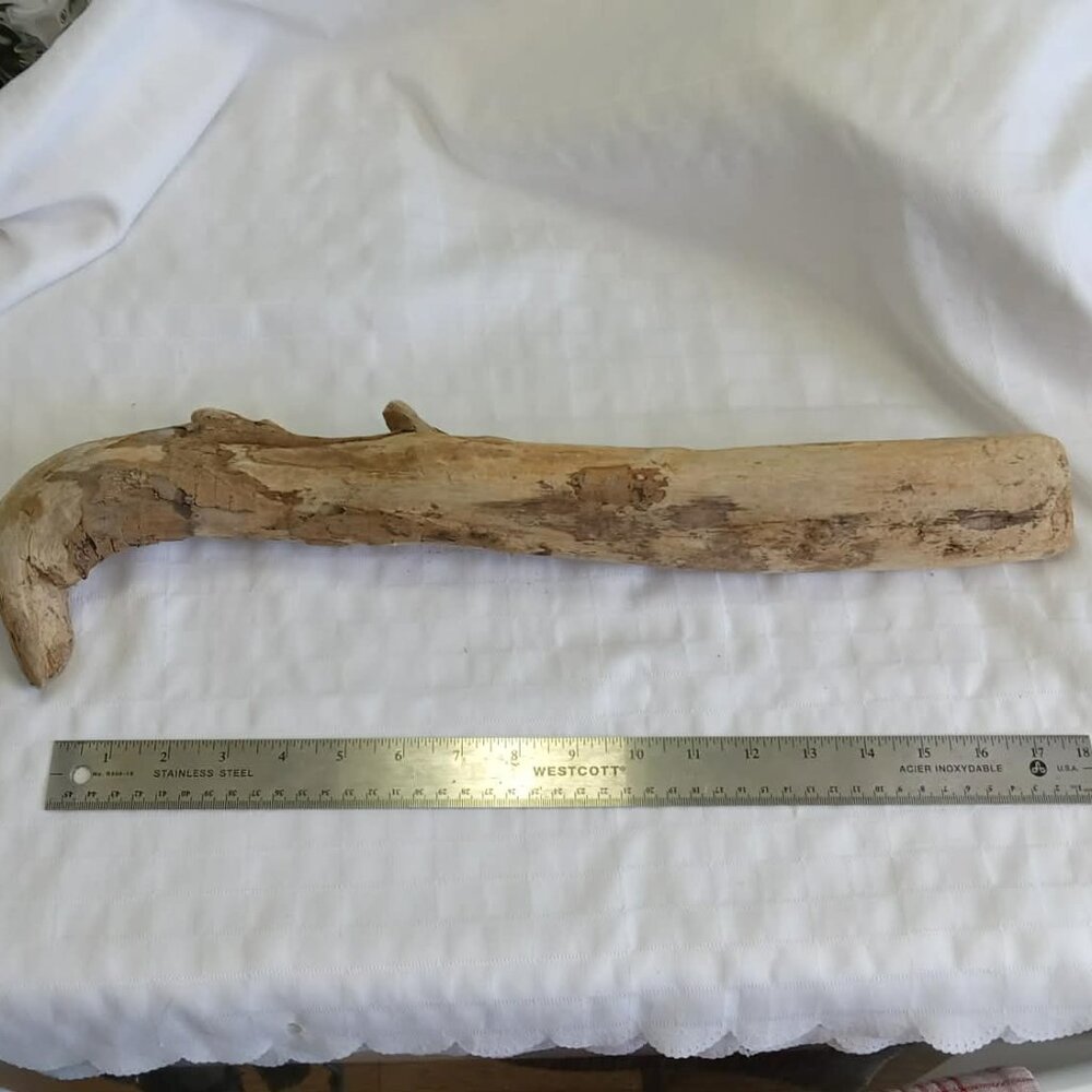 No5 Hand-collected big piece of driftwood, cleaned for aquarium/terrarium/craft